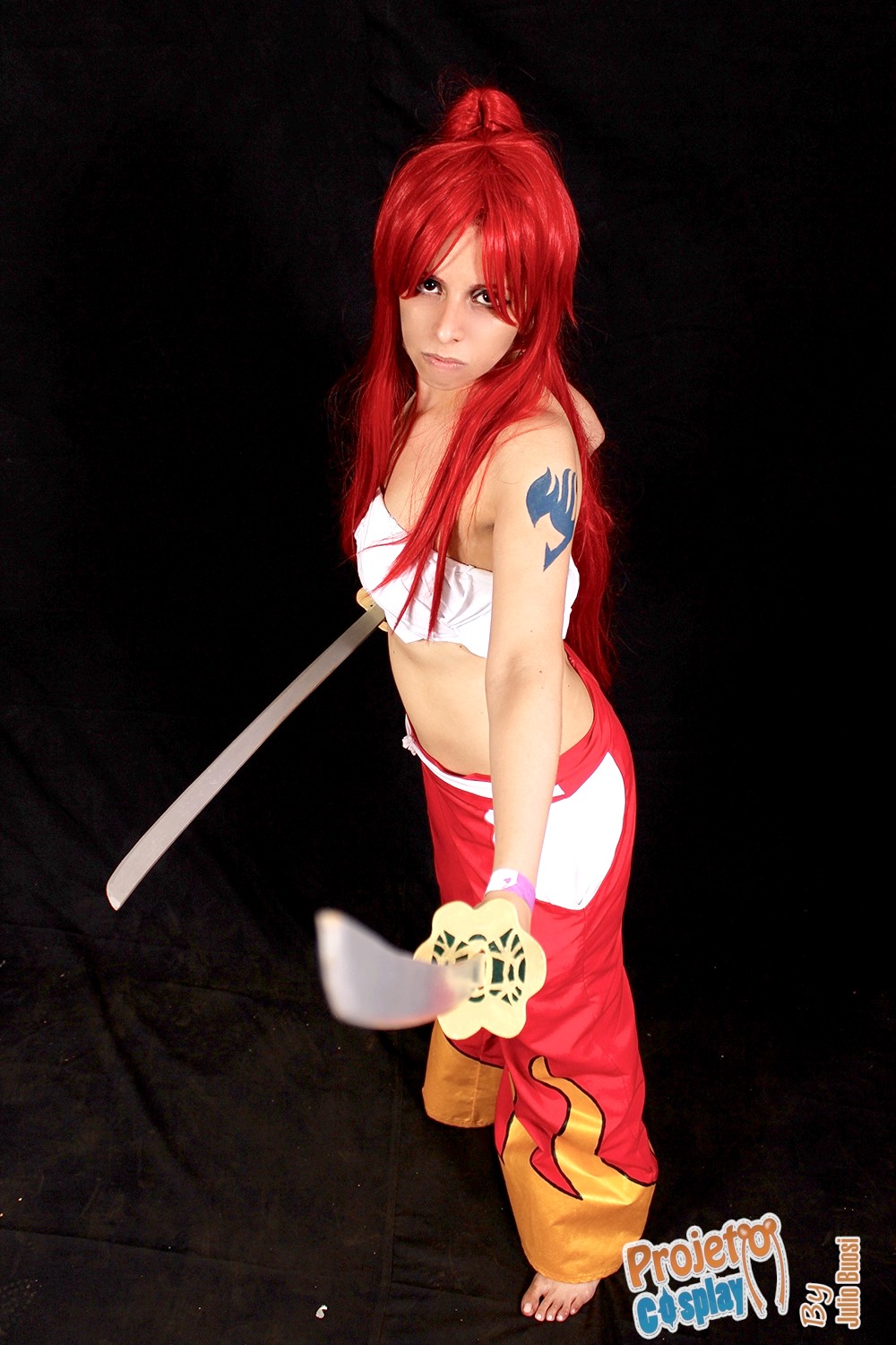 Erza samurai