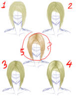 Tutorial 1 - Hair SAI