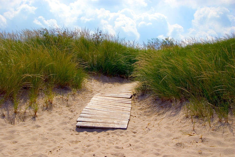 A Sandy Pathway by beernuts on DeviantArt