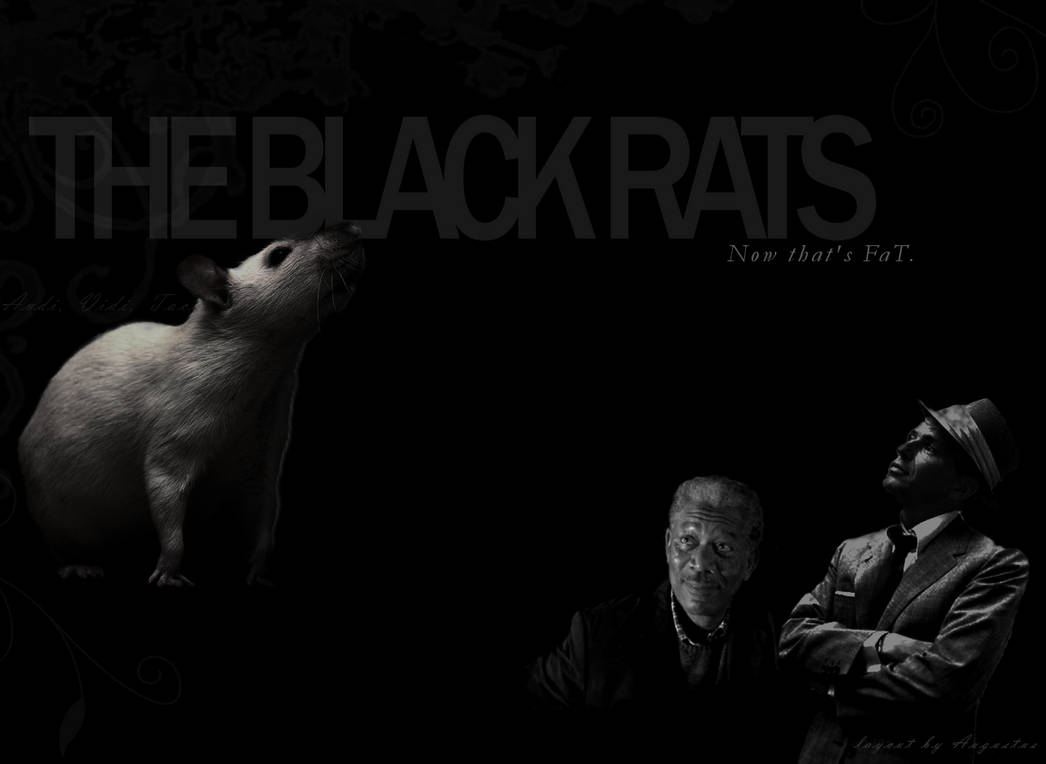 Black Rats Layout by HorseOfBlackestNight on DeviantArt
