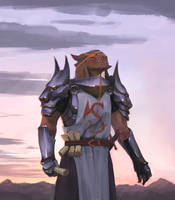 Dragonborn Paladin