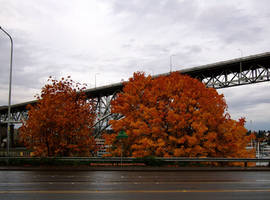 Autumn in Seattle 001.