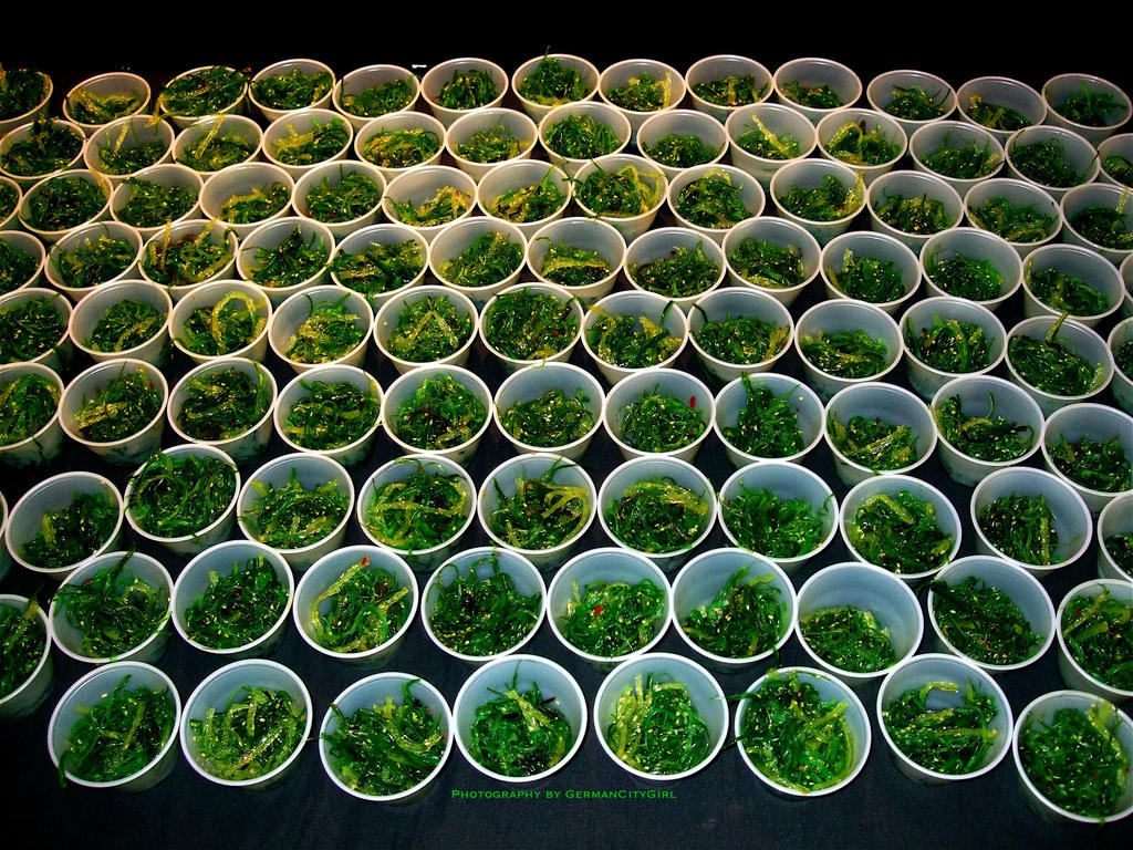 2008 Sushi Festival 005.