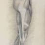 Anatomical Study Sketch In charcoal