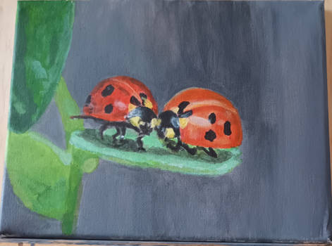 Ladybug Pair