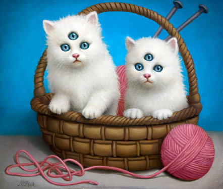 Cyclop Kittehs!