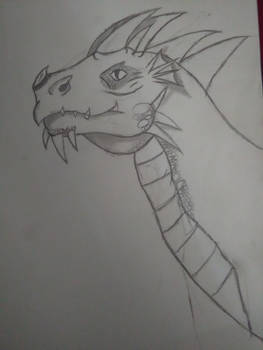 dragon