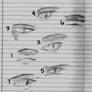 SFS Eye Study