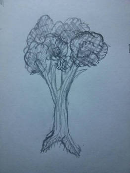 Tree sketch