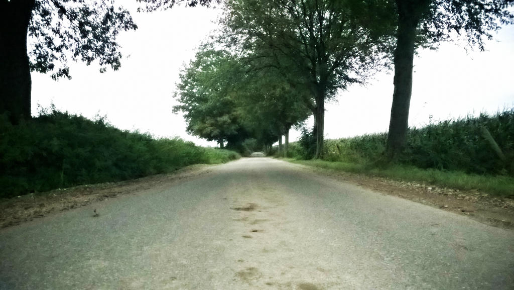 Road near Groesbeek near the German border