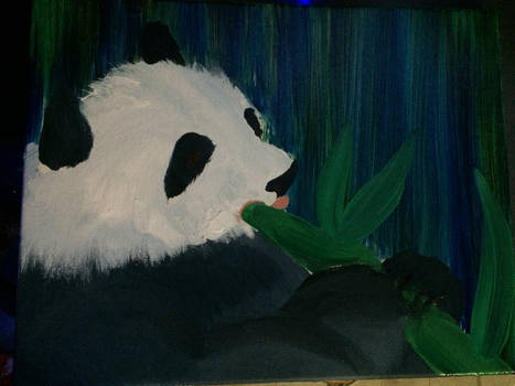 Night Panda