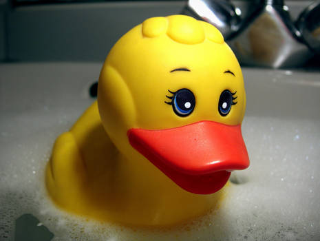 Duck in Bath