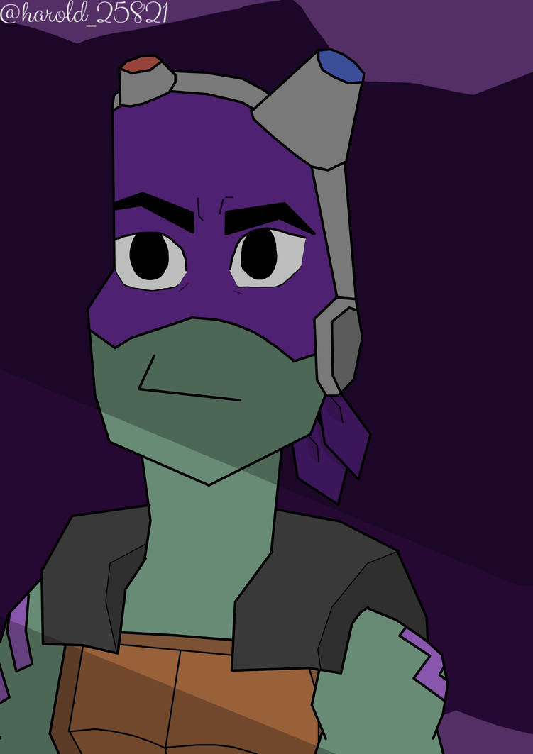 Rise!Donnie Fanart by XvxHaroldxvX on DeviantArt
