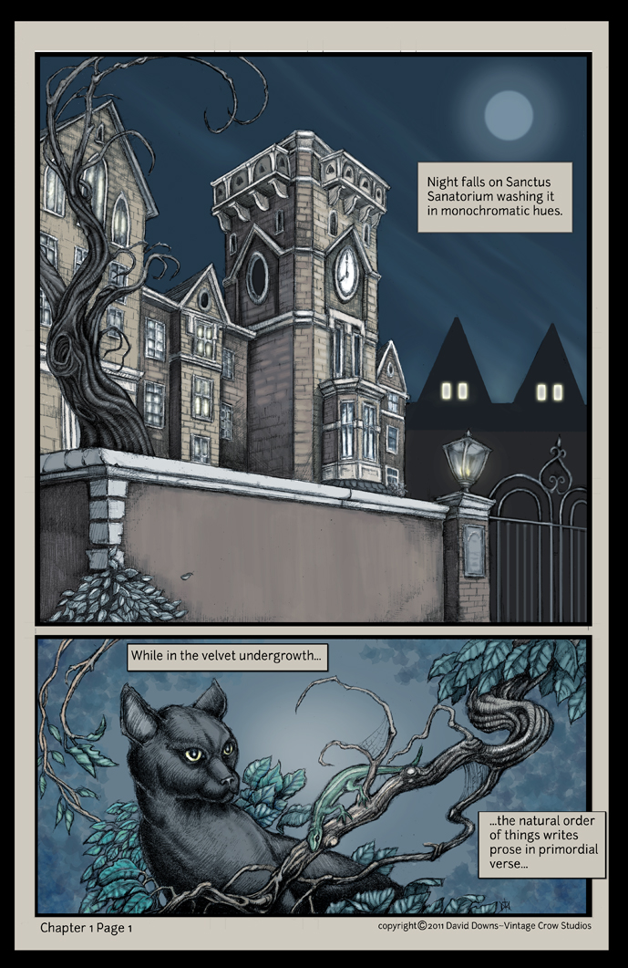 Sanctus Sanatorium Pg1