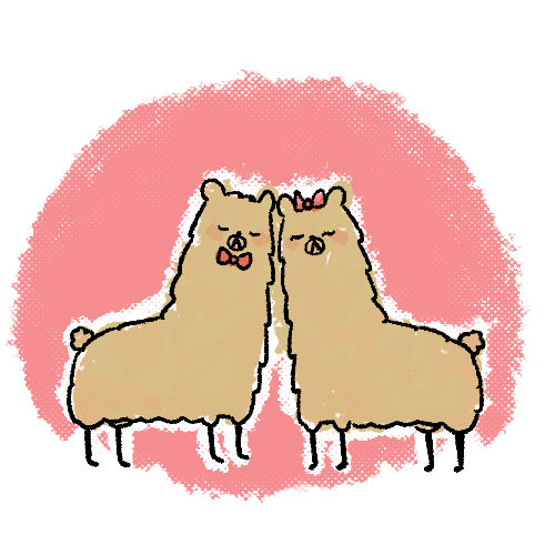 Llama Love