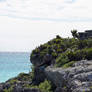 Tulum Ruins Ocean View