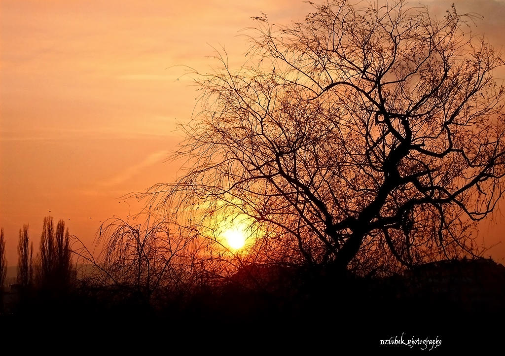 red sunset . shot from bus.