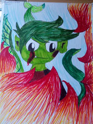 Texta Coloured Beast Boy