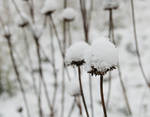 Silence, j'ai froid by ninaselambin