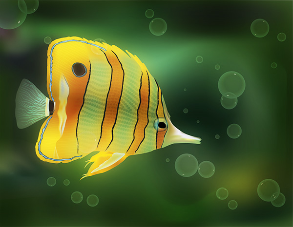 Fish Vector