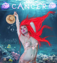 Cancer