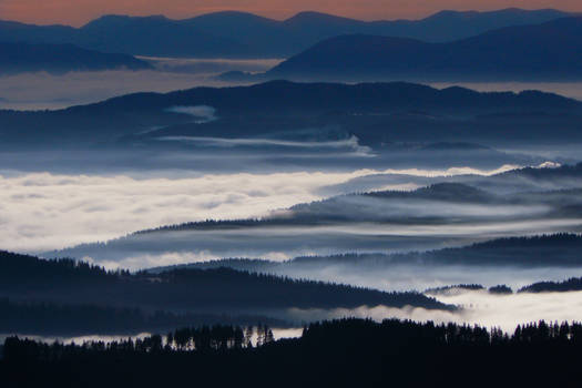 Misty morning