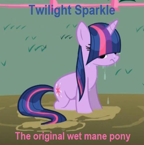 Twilight Sparkle was First Hipster