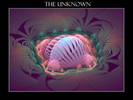 The Unknown