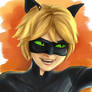 Cat Noir