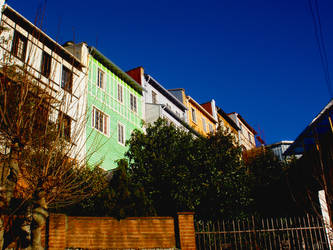 Houses in Hill