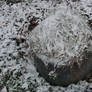 winter coat