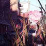 rosey outlook