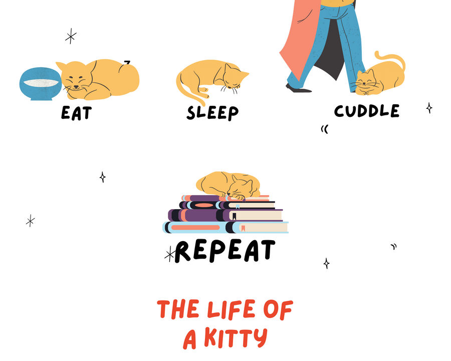 Kitty life by thunderingapple on DeviantArt