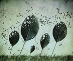 wind by betiti