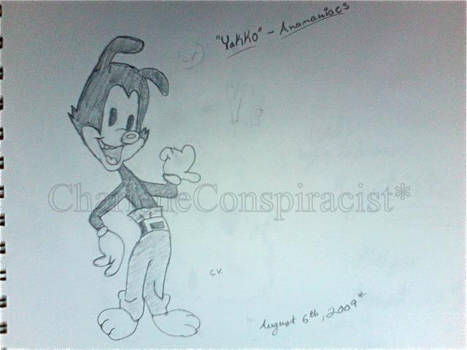 Yakko From 'The Anamaniacs'