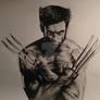 Realistic Wolverine