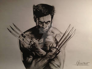 Realistic Wolverine