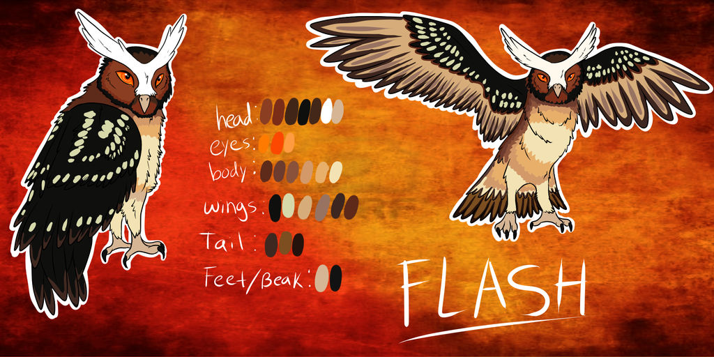 Flash reference by windwolf55x5 on DeviantArt