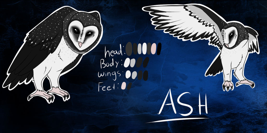 Ash Refrence Ash reference by windwolf55x5 on DeviantArt