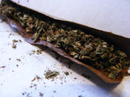 Blunt