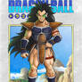 Raditz Dbcover