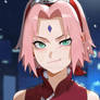 Haruno sakura