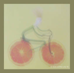 Fruit Bicycle