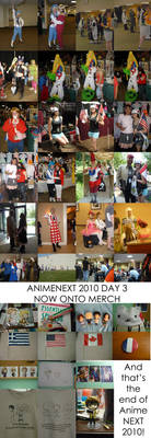 AnimeNEXT 2010 Day 3