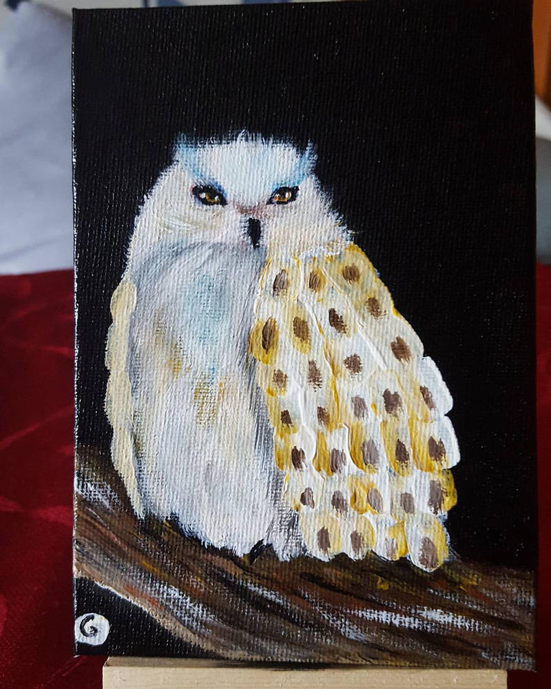 Postcard 4: Fluffy Barn Owl by GiovyLoCa
