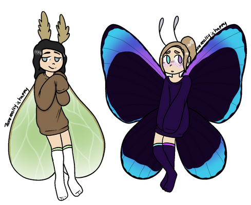 Lunar moth and butterfly adopts OPEN