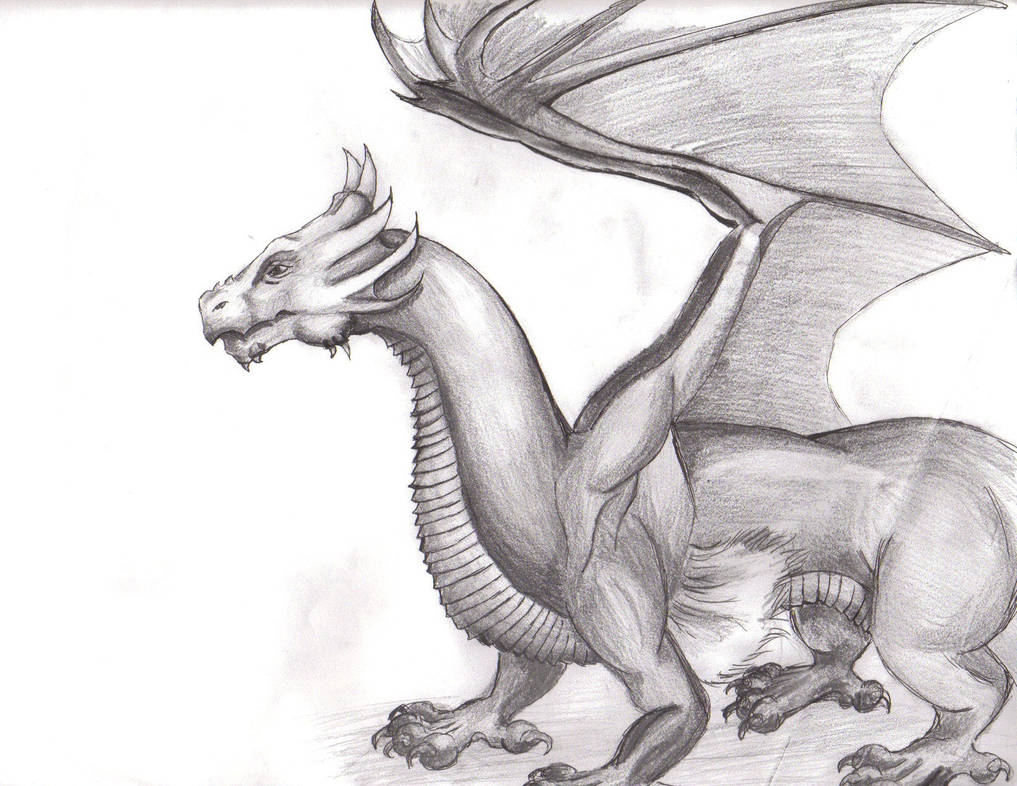 Dragon Sketch by wisecracker42