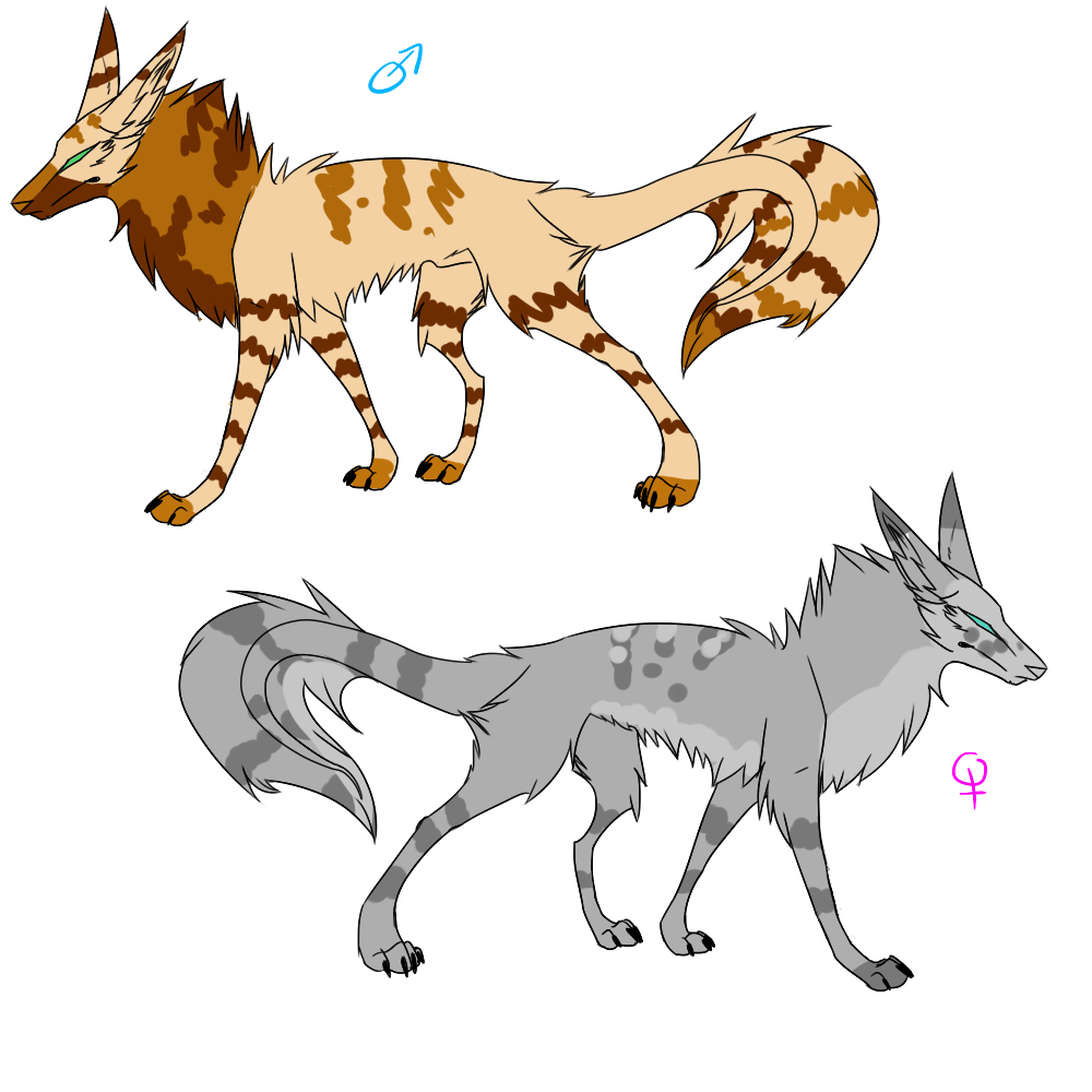 striped wolves adoptable