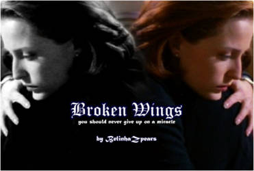 Broken Wings