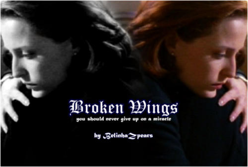 Broken Wings